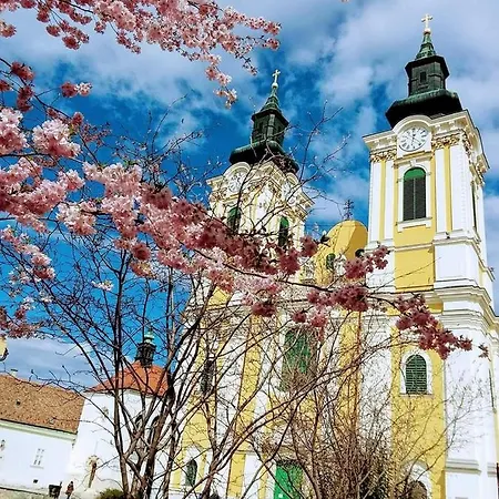 Korona * Székesfehérvár